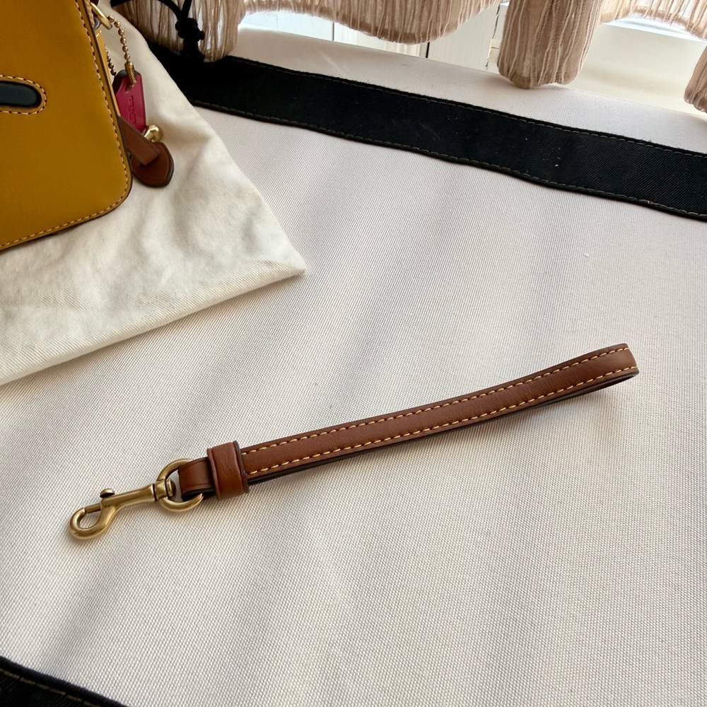 Coach limited edition Coachies Winkie Kira Crossbody Bag - Picture 10 of 11